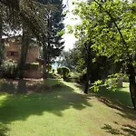 Gran Castanyer * Viladrau