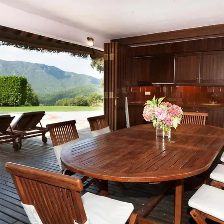 Gran Castanyer Viladrau