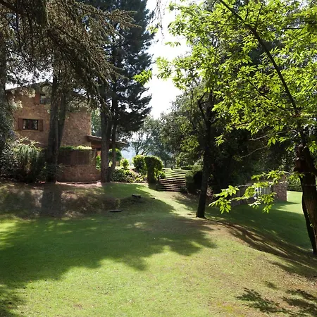 Gran Castanyer * Viladrau